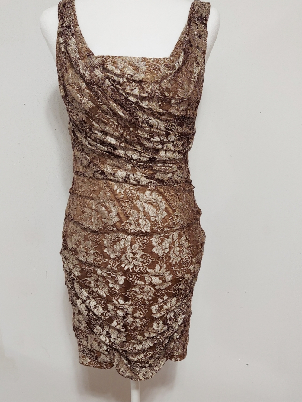 Express Women's Dress Floral Lace Knee Length Ladies Bodycon Dress Brown SZ 4